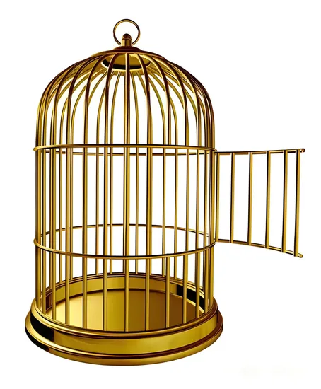 High Quality Different Color Size Style Metal Bird Cage