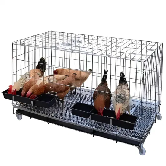 OEM High Quality Different Color Size Style Metal Chicken Cage