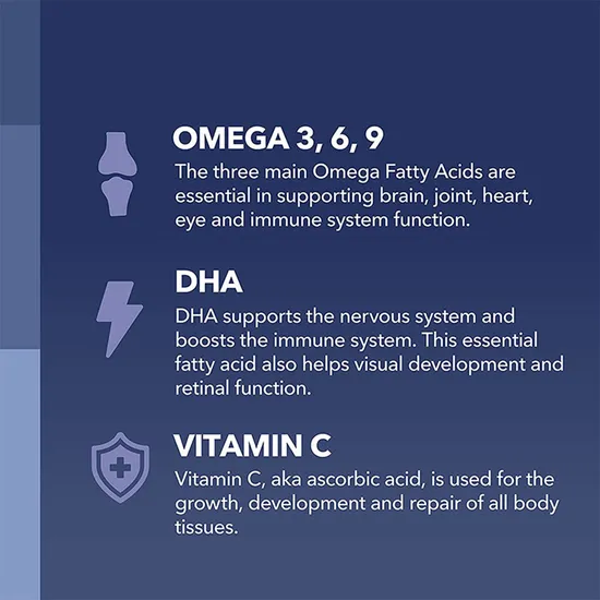 Healthy Heart Support Brain Omega 3 Fish Oil Gummies DHA and EPA