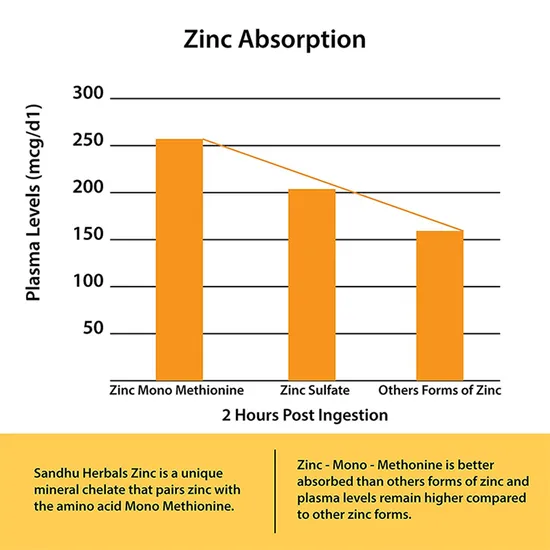 Immune Support and Cell Growth Supplement Antioxidant Protection Vitamin C Zinc Capsules