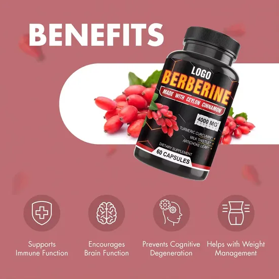 OEM/ODM Berberine Capsules Nutraceuticals to Support Gut Health and Boost Immunity Berberine Extract 4000mg