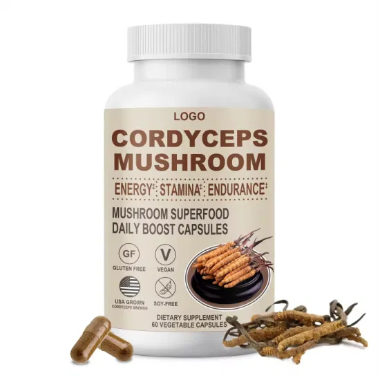 OEM/ODM Organic Herbal Cordyceps Sinensis Mushroom Extract Capsules for Immune Support and Blood Health