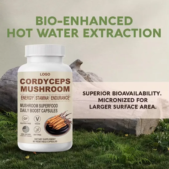 OEM/ODM Organic Herbal Cordyceps Sinensis Mushroom Extract Capsules for Immune Support and Blood Health