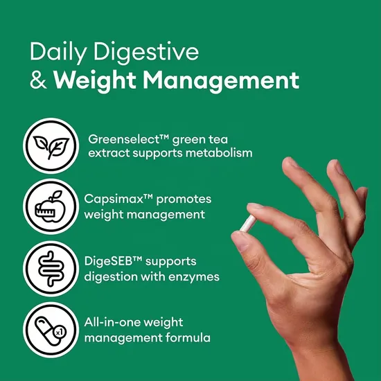 OEM/ODM Probiotics Natural Acv Green Tea and Cayenne Extract Supplement for Weight Control, Gut Support Probiotic Capsules