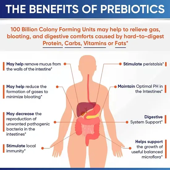 OEM/ODM Enhances Immunity and Intestinal Health Gummies with 5 Billion Probiotics Supplements