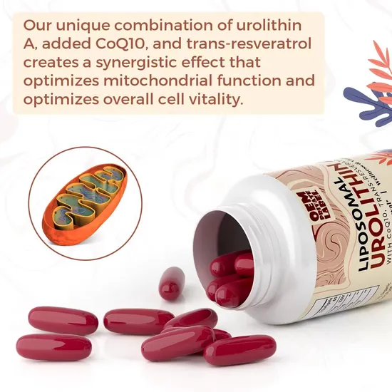 OEM/ODM Enhances Immunity and Muscle Recovery Capsules Beauty Natural Animate Vitamins Supplement