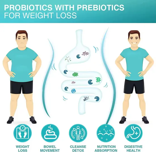 OEM/ODM Men′s Probiotic Powder Capsules for Boosts Lmmune-System and Promotes Gut Health