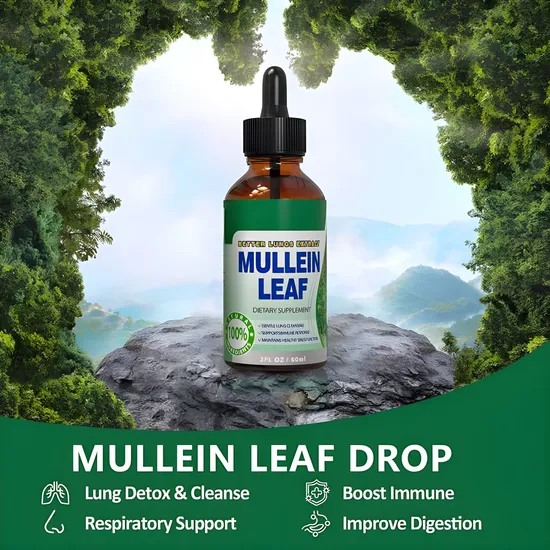 OEM/ODM Mullein Drops - Lung Clearing - Immune Support, Detoxification and Respiratory Support Herbal Supplement - Mullein Leaf Extract