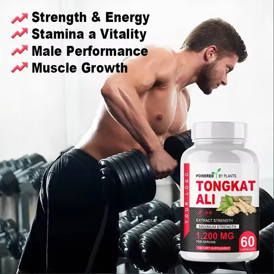 OEM/ODM Natural Maca Tongkat Ali Root Extract Supplements Supports Male Power and Stamina Vitality Capsules