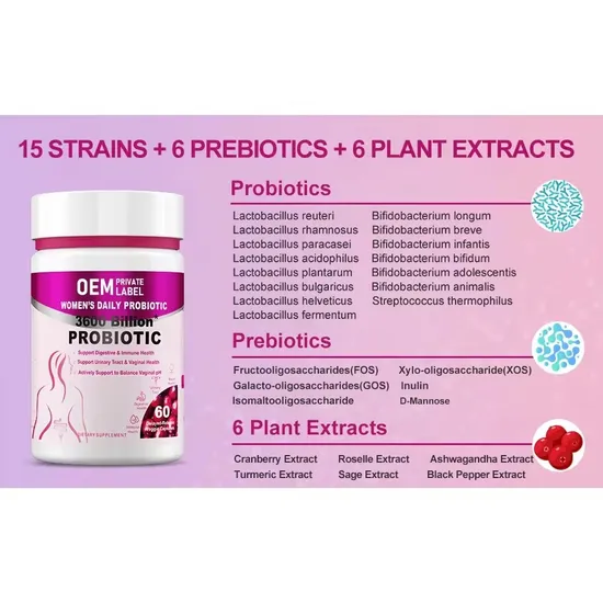 OEM/ODM Women′s Probiotic Capsules Prebiotics Digestive Enzymes Supplement for Support Immune Health Gut and Vaginal