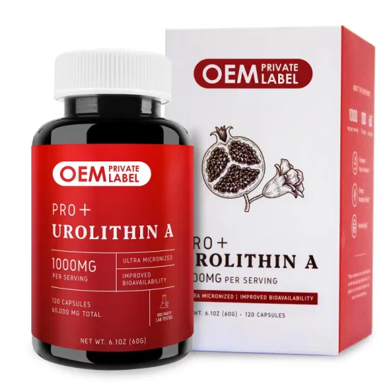 Support Energy Metabolism Supplement Improve Cellular Health Vitality and Enhanced Muscle Recovery Gummies