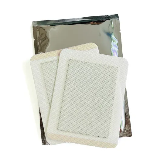 Chinese Medicine Lumbar Pain Relief Patch Hot Melt Adhesive Plaster Carrier