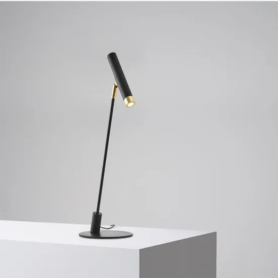 2021 New Design Modern Table Lamp Studying LED Desk Lamp for Living and Hotel