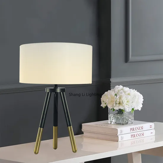 Nordic Creative Living Room Table Lamp Spersonality Hotel Room Decoration Table Lamp