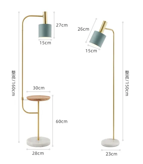 Light Luxury Floor Lamp in Northern Europe Bedside Lamp Reading Table Lamp