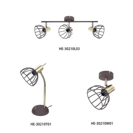 Style Metal Wire Birdcage Industrial Ceiling Wall Light Lamp Table Lamp