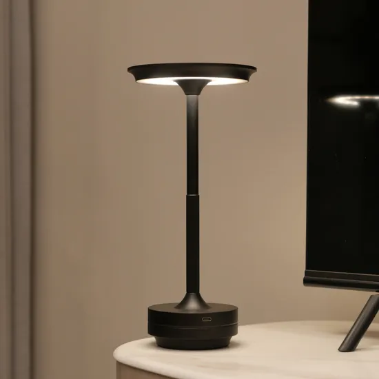 Elegant Modern Reading Lamp, Suitable for Living Room Decorative Lighting Table Lamp