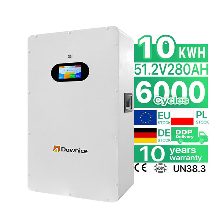 10 Years Warranty 5 kWh 10kWh Wall-Mounted Lifepo4 Wall Mounted Lithium Lfp Battery 51.2V 200Ah Pack