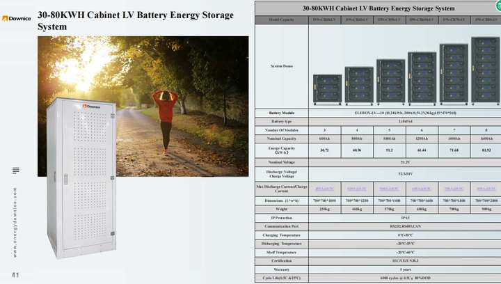 10kwh 20kwh 40kwh 50kwh 30 Kwh 48V Rack-mounted Server Lifepo4 Rack Mounted Lithium Solar Energy Storage Battery Cabinet