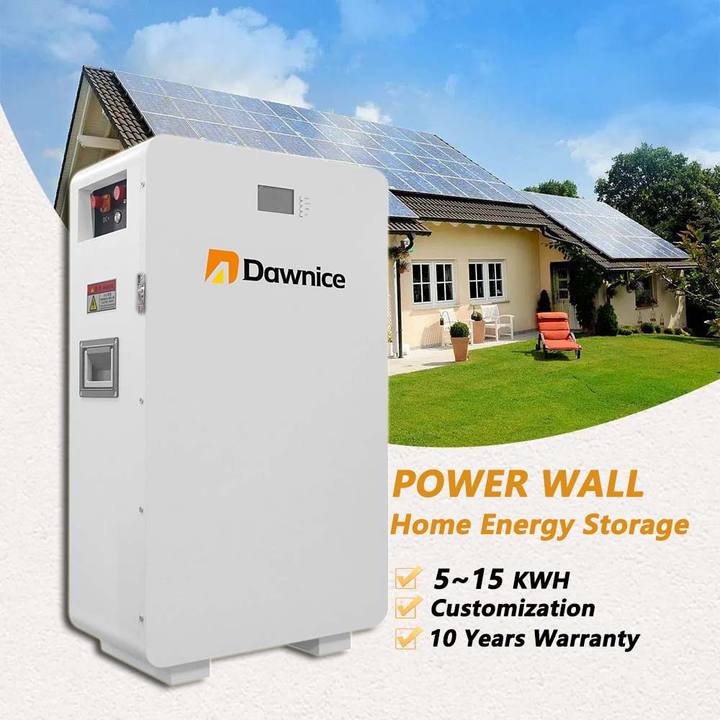 48V 100Ah Lithium-Ion Battery 5kWh/10kWh/15wh Wall-Mounted BMS Lifepo4 Solar System Hybrid Grid CAN 51.2V 200Ah Battery