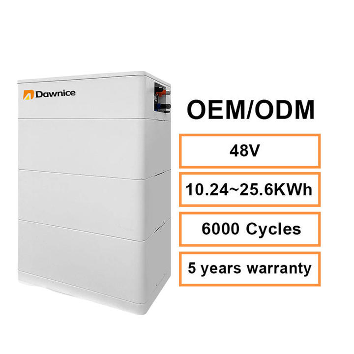 48V 50Ah LiFePO4 Battery 48V LV Lithium Ion Batteries 51.2V HV Best Price solar storage battery Factory Wholesale Export