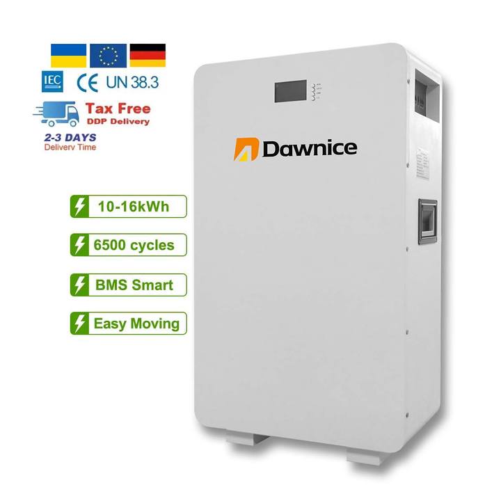 48v 51.2V 100Ah 200Ah 300Ah Wall Mount LiFePo4 5kwh 10kwh 15kwh home Battery Product Manufacturing