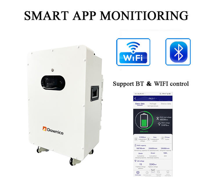 5kWh 10kWh 15kWh Storage System Lithium 100ah 200ah 51.2V Lifepo4 Battery Wall-mounted Power Wall Battery for Household Energy Large Order Wholesale Export