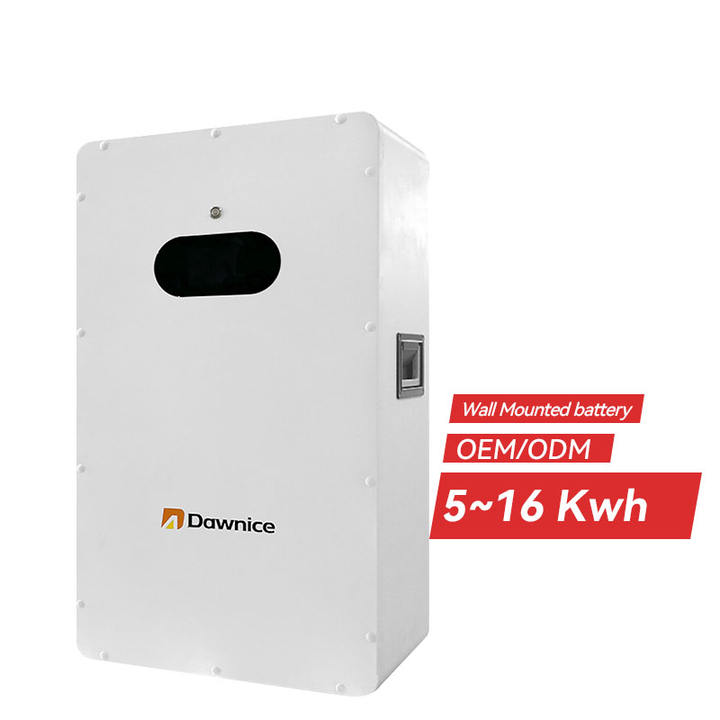 Dawnice 15kw 10kw Wall Mounted 51.2V 300Ah 200Ah Lifepo4 Energy Storage Battery Backup With Bms For Solar Systems Manufacturing Plant