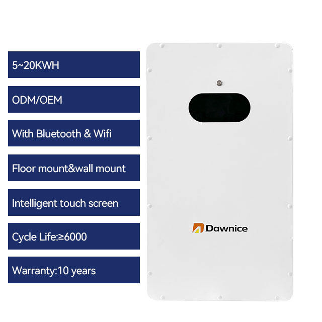 Dawnice 200Ah 51.2v Power Wall Lifepo4 Battery Pack 10kwh Lithium Battery 24V 48V Solar Energy system Manufacturing & Supply Network