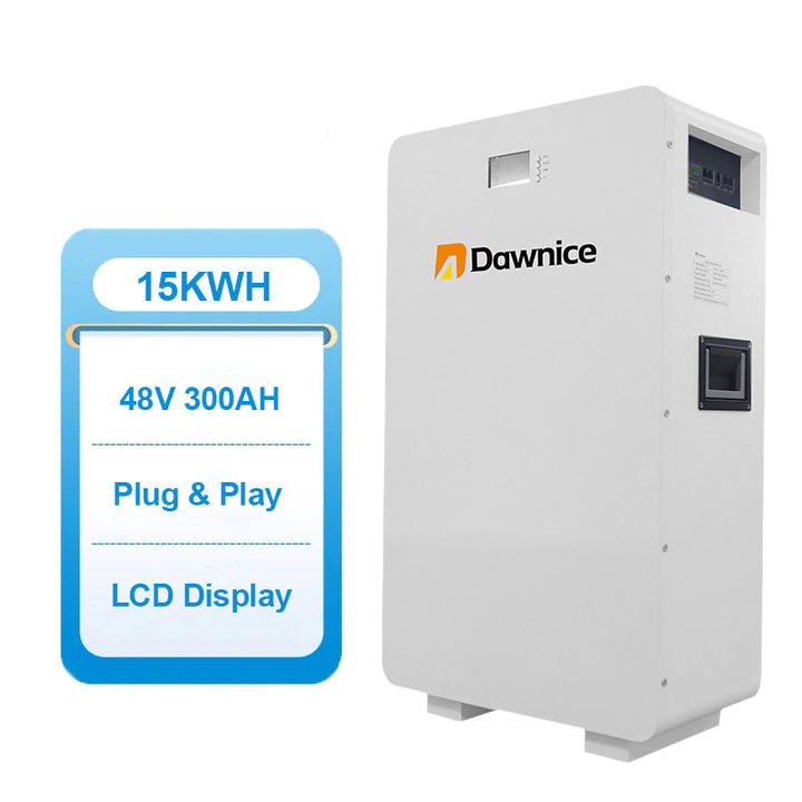 Dawnice 48V 200AH Wall Mounted 51.2v LiFePO4 10KWh solar energy storage battery for home