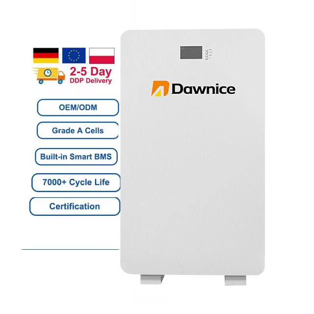 Dawnice 48V Lifepo4 200Ah 5kWh 10kw 10kWh 15kWh Lithium Battery Pack with CAN Communication Port Factory to Consumer