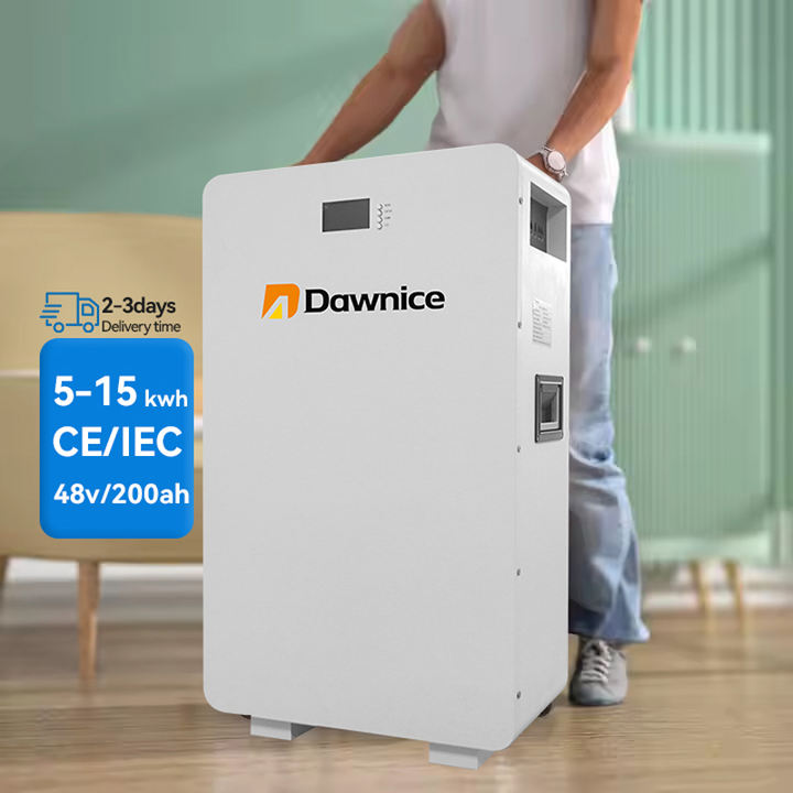 Dawnice 48v 100ah home energy storage systems 51.2v 5 kwh wall mounted lithium batteries Competitive Manufacturing Pricing