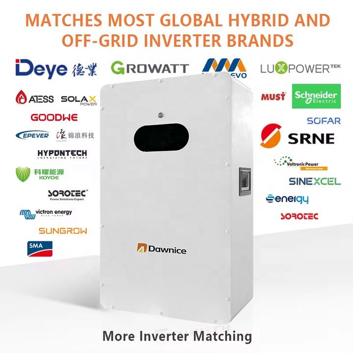 Dawnice 5kw 10 kw 16kw 48v 51.2v 100ah 200ah Home Energy Storage Power Wall Mounted Lithium Ion Battery Manufacturing Solutions