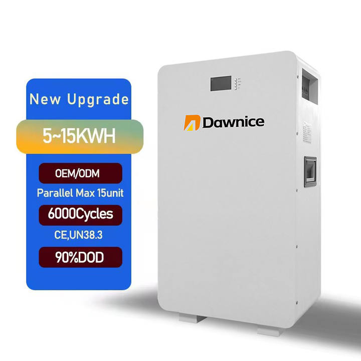 Dawnice 6000 Cycles 80% Dod Lifepo4 Power Wall Lithium batterie solaire lithium 200ah 48V 51.2V 100ah 5kwh Powerwall Battery Manufacturing & Supply Trade