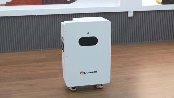 Dawnice EU Stock Hot Selling Lifepo4 Battery 51.2v 200ah 10kwh Power Wall Mounted Solar Home Lithium ion Energy Storage Battery