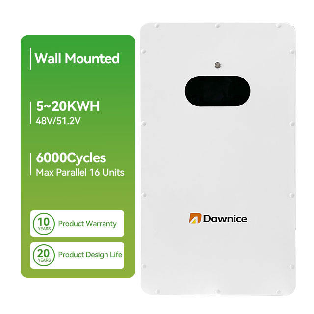 Dawnice Lifepo4 Batteries 10Kwh 5Kwh 51.2v 48v Wall Mounted Lithium Ion Battery With Bms For Solar System Efficient Manufacturing Outlet