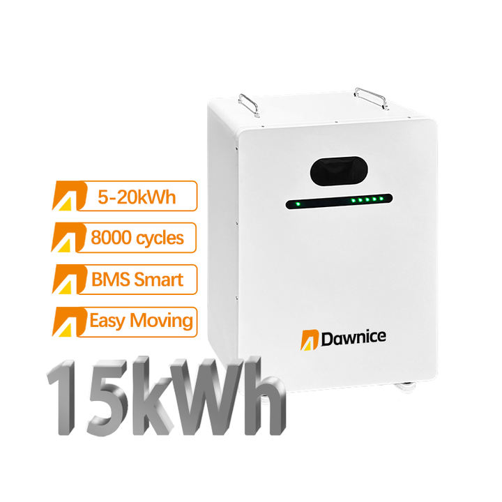 Dawnice New Lithium Ion Battery 15kwh 20kwh 51.2v 300ah 400ah Solar Wall Mounted LiFepo4 Battery Power Supply System For House