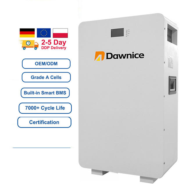 Dawnice Powerwall 10kwh Batteries 51.2v 200ah 300ah Wall Mounted Home 48v 15kwh Solar Energy Storage Lifepo4 Battery Factory Authorized Wholesale Export