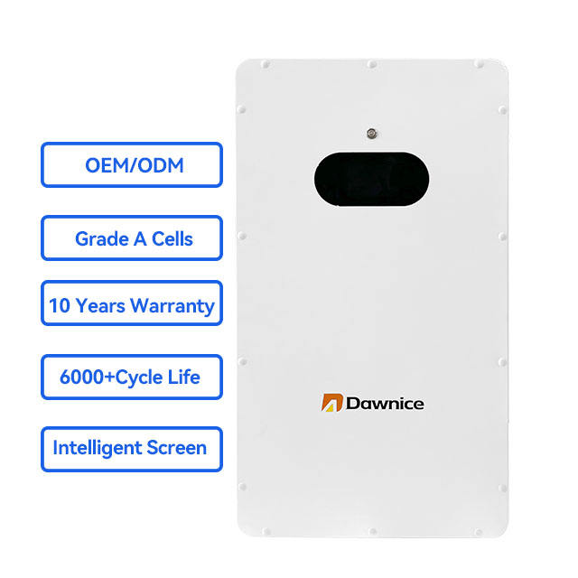 Dawnice Wall-mounted 48v battery 50ah 100Ah 200Ah  5Kwh 15kwh Solar Energy Systems Lifepo4 Solar Power wall Home Battery