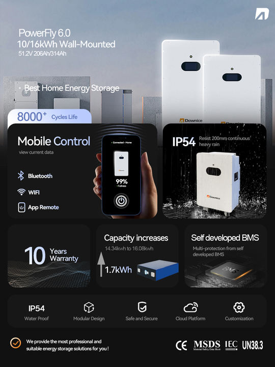 Deep Cycle Life Solar Lithion ion Battery 5kva 10kva 15kva residential 100ah 200ah Power wall mounted Energy Storage Battery Export-Oriented Factory Custom Solutions