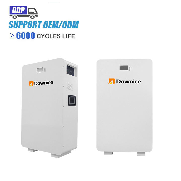 Home Energy Storage Systems 51.2v 48V 200ah 250AH 300ah 10kwh 12800Wh 15kwh LiFePO4 battery