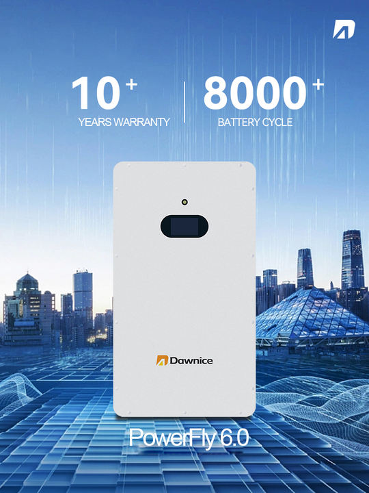 Home Lithium 100Ah 300Ah 5Kwh 15Kwh 48V 200Ah Power Wall Battery 10Kwh Lifepo4 Battery B2B Manufacturing Factory