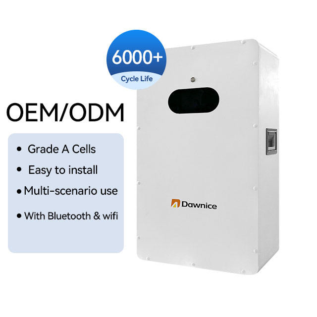 Low Voltage Wall-Mount All-Round Bms Protection 5kwh Remote Upgrade 6000 Cycles Battery Support Parallel 5kw Lifepo4 Battery Factory Direct Sales Chain