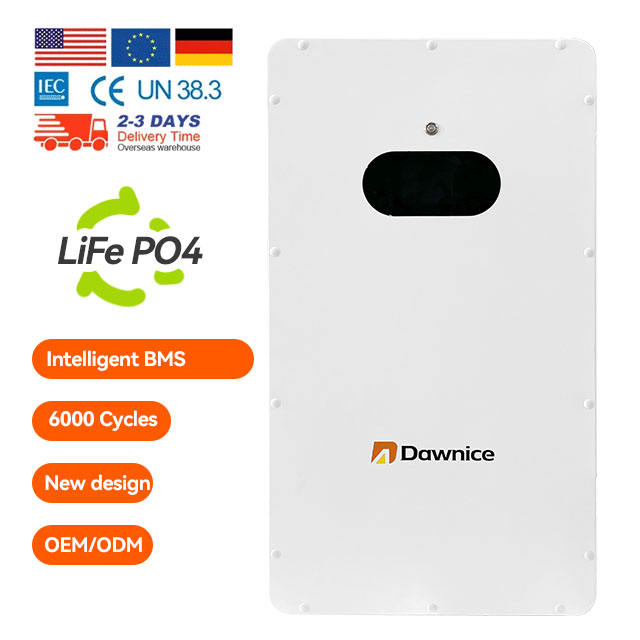 Power Wall 51.2v 100ah 5kw Home Energy Storage 48v Lithium Li Ion Battery Pack Lifepo4 Lfp 5kwh Solar System Recharge Wholesale Distribution Center Customization