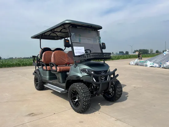 14 Inch Aluminum Wheels off Road Golf Carts 2 4 6 Seater Electric Lifted Hunting Golf Cart