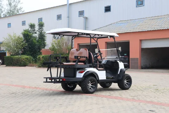 2023 New 4 Seats 72V/7.5kw AC Lithium Battery Electric Hunting Golf Cart