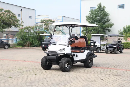 2023 New Luxury Design MD2+2 Model 4 Seater Electric Lifted Hunting Golf Cart