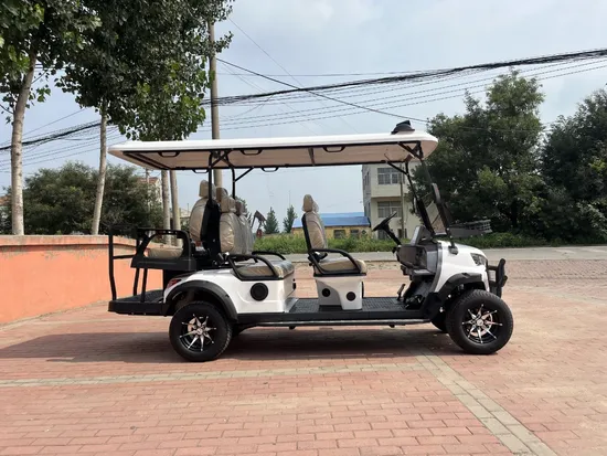 2024 Brand Design 4 6 Seat Sightseeing Bus Club Cart 48V/72V Lithium Battery Electric Golf Buggy Hunting Cart