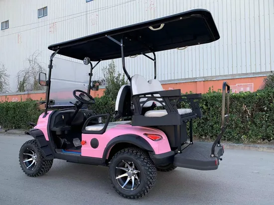 2024 China 48V 72V 5kw off Road EV Golf Car Cart Buggy Club Car 4 6 8 10 Seater Electric Golf Carts