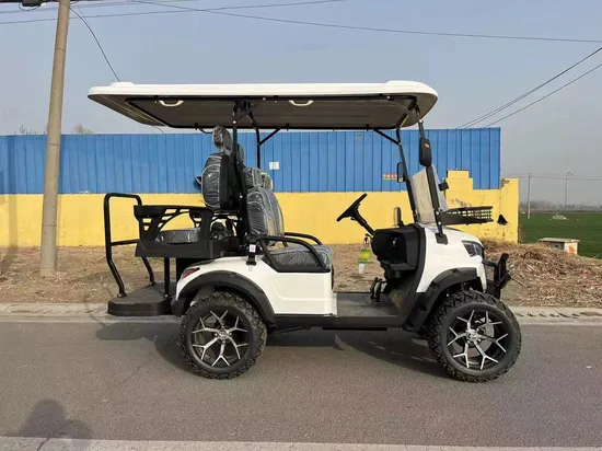 2024 New 48V Electric Golf Carts 2 Person Seats off Road Golf Scooter 4 Wheel Lithium 4 Seat Solar Golf Cart